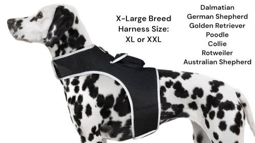 Get SMS Tracking Reports & Alarms w/ Mini Rechargeable GPS Pet Tracker Size:S